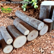 Coated wood log 7-8 cm x 25 cm wood pieces decorative craft 8