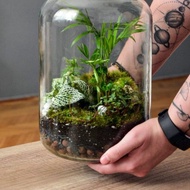 Terrarium Jar Glass Jar Vase Media Biological Container Mini Ecosystem
