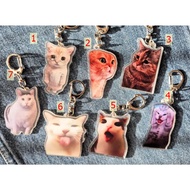 Cat Meme Tiktok Viral Funny Keychain | Cute Cats Gift Pendant Keyring | Cat Lover Funny Cats Gift | 