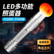 Whole Promotion Egg Detector Hatching Dedicated Egg Tester Penetrating Small Egg Detector Ludding Eg