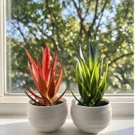 1pc Artificial Aloe Succulent Plant Potted Faux Greenery Lifelike Mini Desktop Ornament Real Touch F