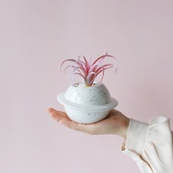 Planet ceramic flower pot decoration potted gardening