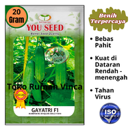 Benih Bibit Timun Lalap Tahan Virus GAYATRI F1 20g 800 butir You Seed