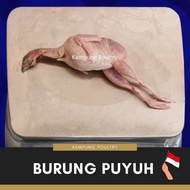 BURUNG PUYUH AFKIR SUPER