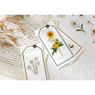 HSCC PET Waterproof Sticker Sheet Daisy Design