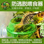 Reptile Anti-Escape Feeder Food Basin Escape Lizard Gecko Turtle Bread Food Basin Hanging Anti-Escap