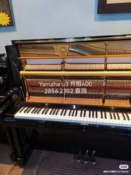 Yamaha u3 月租400