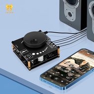 [Chuffed-t] 1 Set Stereo 3.5MM AUX USB APP DC12V-24V YS-AP50L patible 5.0 50W+50W Power Digital Ampl