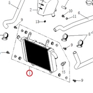 100% ORIGINAL WMOTO ES250i RADIATOR // P0130400140000 100% ORIGINAL WMOTO ES250i
