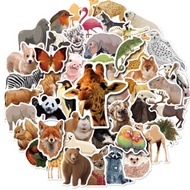 50pcs Zoo Animals Stickers for Kids Boy Safari Animal Waterproof Stickers for Phone Tumbler Fan Ipad