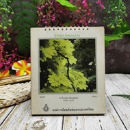 Thai Telephone Organization Calendar 2497