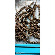tasbih teras bidara asli
