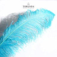 Torenda Feathers Ostrich Feather Sequins Swan/s Kasuari Feather Stems - Color Variants 2 PCS/s