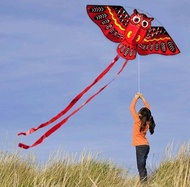 Layangan lipat burung hantu besar ukuran 145*69 cm layangan pantai anti air