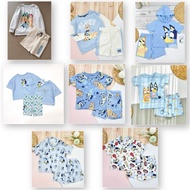 amilybabyshop : Newborn-Ten-Year-Old Baby Clothes Set Shirt + Pants Bluey