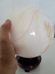 特大硨磲球！！