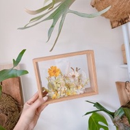 逗留- 迷人小雛菊永生花 乾燥花 教師節客製化禮物