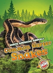 Common Garter Snakes Rebecca Sabelko