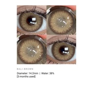 eyeshare Contact Lens (Brown Edition)