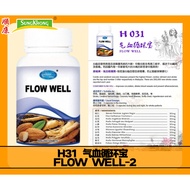 H31 气血循环宝 FLOW WELL-2