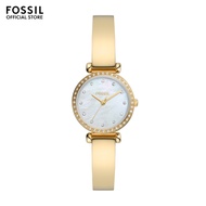 Fossil Women's Tillie Mini Gold Metal Watch BQ3895