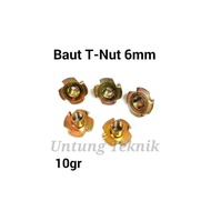 T-Nut 6mm x 1.0