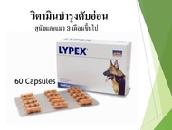 [ EXP 2026/01 ] LYPEX by VetPlus [60 แคปซูล] เอนไซม์ช่วยย่อยอาหาร อาหารเสริม ในสุนัข-แมวที่เป็นตับอ่