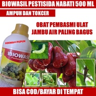 (BAYAR DI TEMPAT) BIOWASIL OBAT HAMA ULAT BUAH JAMBU AIR PALING BAGUS - Pestisida Jambu Air Terbaik 