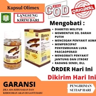 Kapsul Minyak Albumin Ekstrak Ikan Gabus Albumex Mempercepat