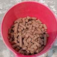 pakan pellet tinggi protein sapi/domba/kambing/kelinci