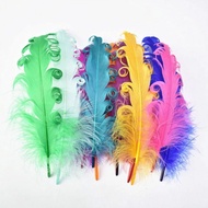5-pack Curly Feather - Color Curly Feather - Curli Feather - Goose Feather | Feather