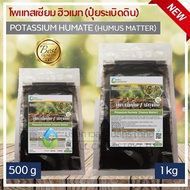 โพแทสเซียม ฮิวเมท (ปุ๋ยระเบิดดิน) / Potassium Humate (Humus Matter) ขนาด 500 กรัม และ 1 กก. / ปุ๋ยฮิ