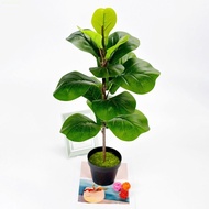 HUIJIANG Artificial Fiddle Leaves Fig Tree, Large Vibrant Fake Ficus Tree, Green Plant Plastic Real 