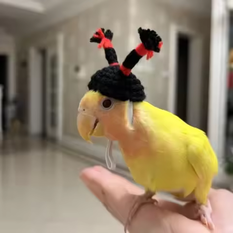 3PCS/SET Funny Hamster Knitted Hat Soft Decorative Pet Costume Hat Adjustable Strap Parrot Ponytail 