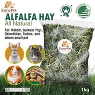 Smarthay 500 Grams Grass Hay Rabbit Food Alfalfa Rabbit Grass 500 grams – WON Feed | Rabbit Food, Ha