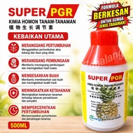 500ml Super PGR ( Hormon / Penggalak Buah Pokok NANAS