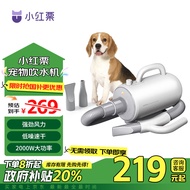 小红栗吹水机宠物吹风机狗狗吹水机吹毛吹干神器低噪大功率大型犬Mini白