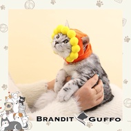 Cat dog head cover hat pet hat animal hat dog cat hat