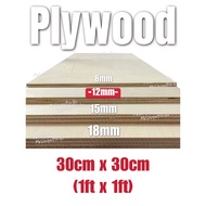 HOT DEAL!!! SOLID Lightweight Plywood (1ft x 1ft) 12mm Thickness Board Customizing to sizes