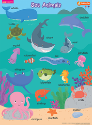 โปสเตอร์พลาสติก Sea Animals  (ใช้กับ Talking Pen)