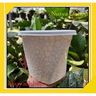 Pot Bunga Murah Pot Bunga Pot Bunga Putih Pot Bunga Plastik Pot