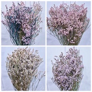 🇸🇬[SG Stock]SG Local Preserved Limonium Preserved Caspia Preserved Flowers Dried Flowers Home Decoration/DIY/Wedding