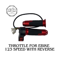 EBIKE THROTTLE FOR 2 WHEELS AND 3 WHEELS UNIVERSAL