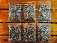 SPIKE JAKET PUNK / AKSESORIS SPIK JAKET PUNK ROCK / SPIKE TANEM ISI 100 PCS dan 1000 PCS ukuran 12mm