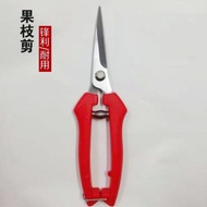 Branch Shears Flower Shears Garden Shears