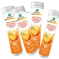 vitamin C EFFERVESCENT TABLET Ca Fe Zn Se multi VC Effervescent Tablets ZINC[ZZB]