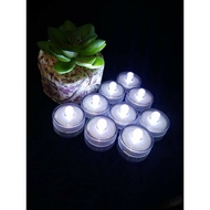 LED BATTERY LIGHT FOR BETTA AQUARIUM SMALL LIGHT { INCLUDED BATTERY}