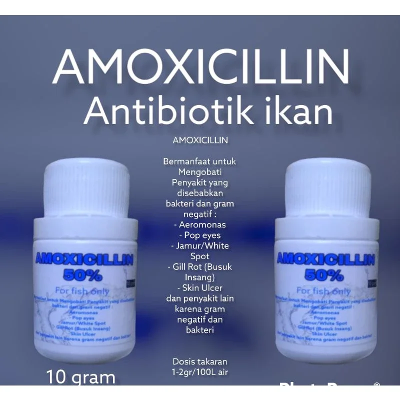 Amoxilin obat ikan / antibiotik ikan karantina