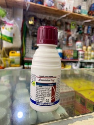 AMISTAR TOP 325SC- Phòng trừ bệnh hiệu quả cho cây trồng