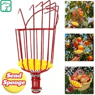 【Adjustable 】Height Multifunction Fruit Picker Net Basket Tool Easy Safe Work Plucker Catcher Garden